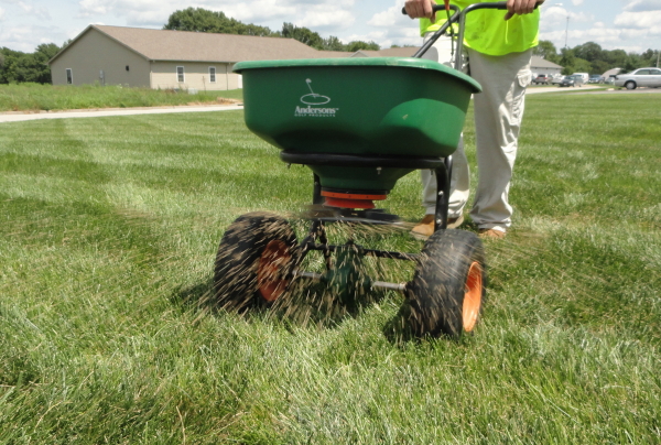 Aeration & Seeding