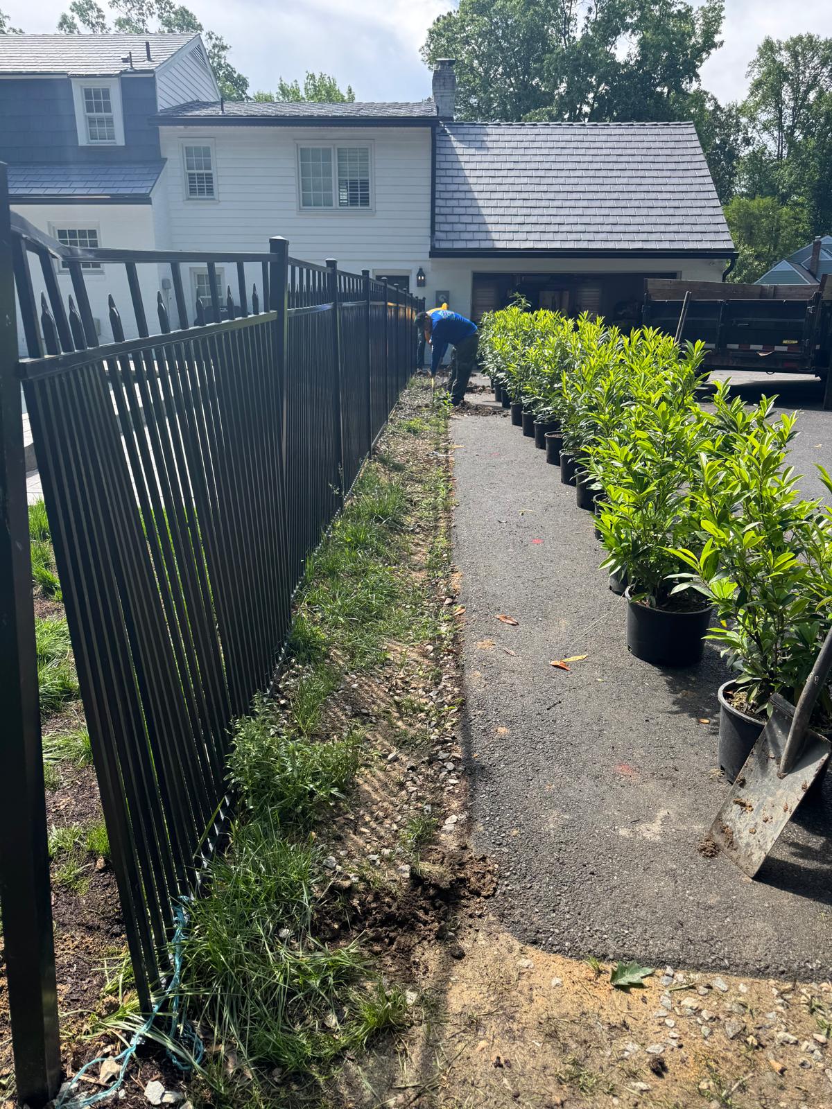 Flower / Tree / Bush Installation
