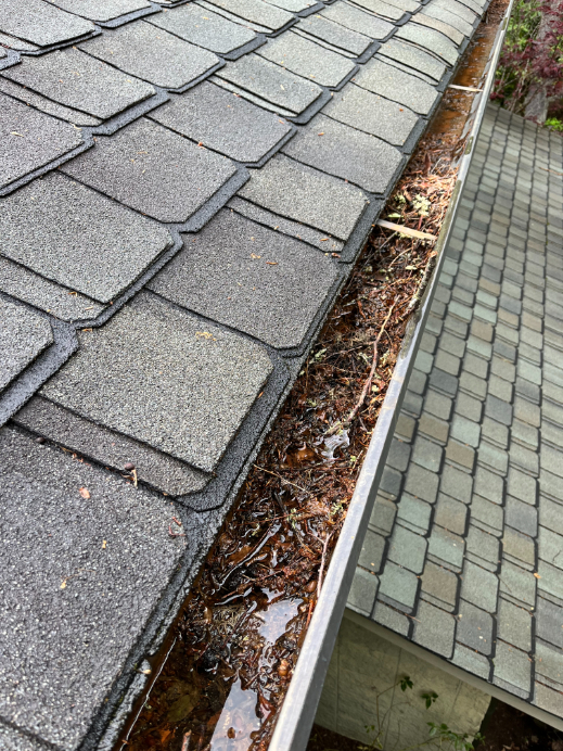 Gutter Cleaning