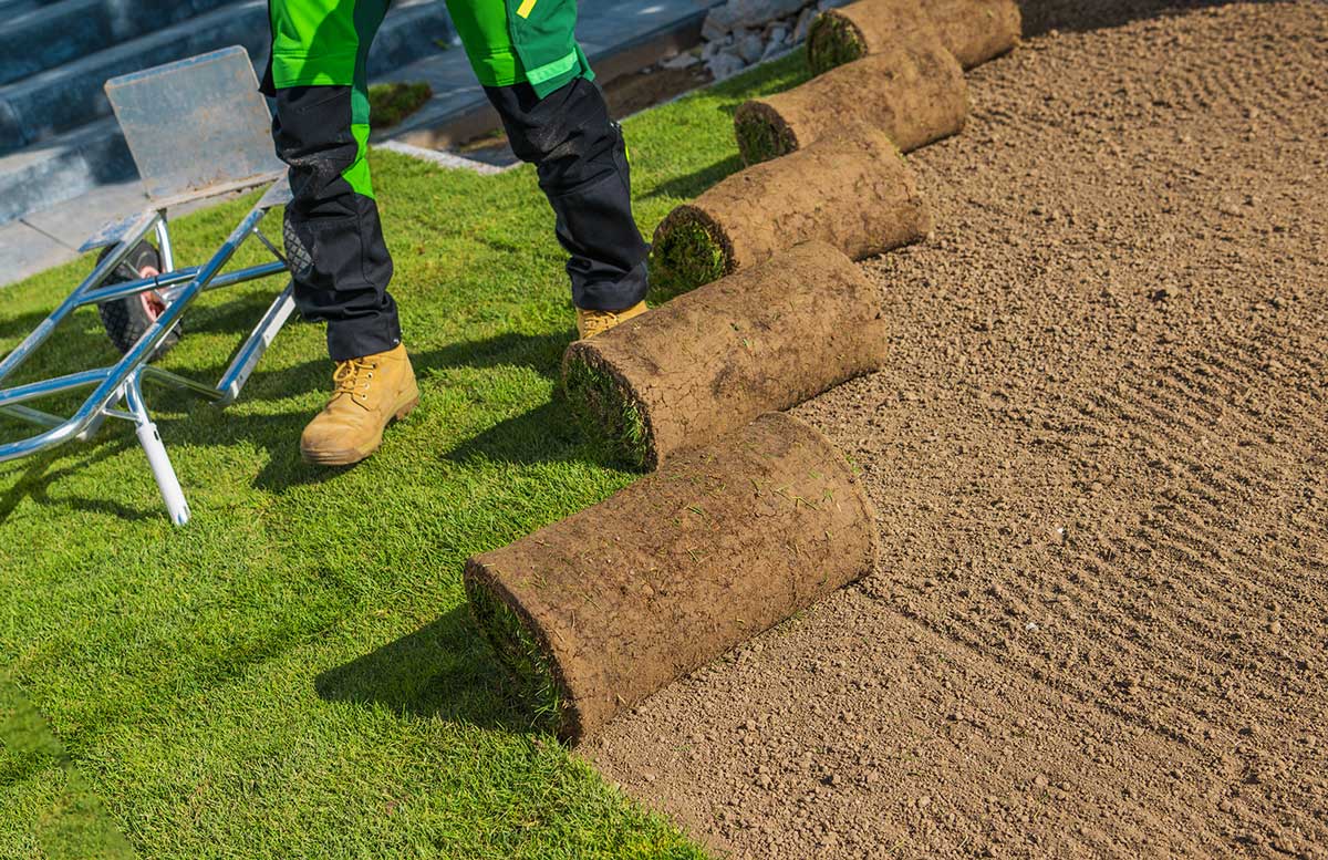 Sod Installation